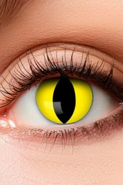 Boland Creep Kleurlenzen