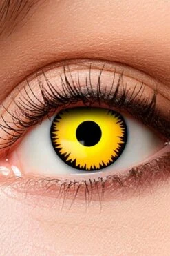 Boland Dinosaurus Kleurlenzen