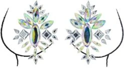 Festival Strass Steentjes