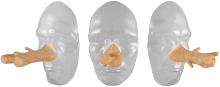 Grimas Latex Boom Neus 4 Grimas Latex Boom Neus - Afbeelding 2