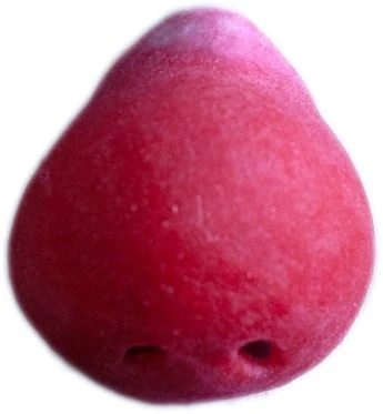 Grimas Latex Clownsneus Voorheen Nr 6 3 Grimas Latex Clownsneus Voorheen Nr 6