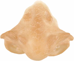 Grimas Latex Drakensnuit