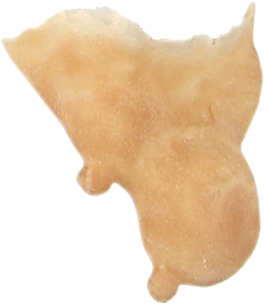 Grimas Latex Heksenkin 3 Grimas Latex Heksenkin