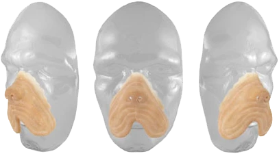 Grimas Latex Hondensnuit 4 Grimas Latex Hondensnuit - Afbeelding 2