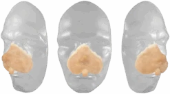 Grimas Latex Knaagdier Snuit -Speciale Effecten Make-Upwinkel grimas latex knaagdier snuit 2