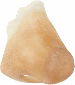 Grimas Latex Normale Neus