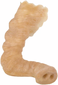 Grimas Latex Olifanten Slurf