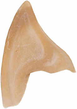 Grimas Latex Puntige Oren 5 Grimas Latex Puntige Oren -Speciale Effecten Make-Upwinkel grimas latex puntige oren 2