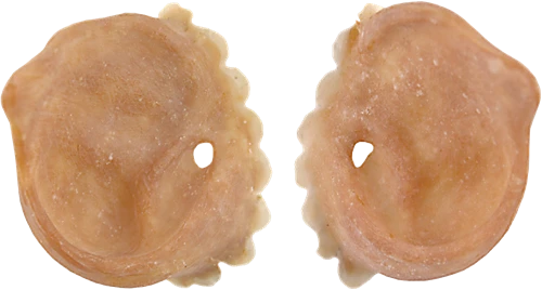 Grimas Latex Varkens Oren 3 Grimas Latex Varkens Oren