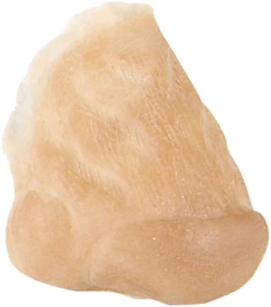 Grimas Latex Weerwolf Snuit 3 Grimas Latex Weerwolf Snuit