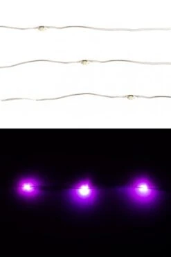 Ledverlichting Paars