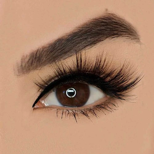 Main Charecter Magnetic Wimper Vani Cosmetics 3 Main Charecter Magnetic Wimper Vani Cosmetics