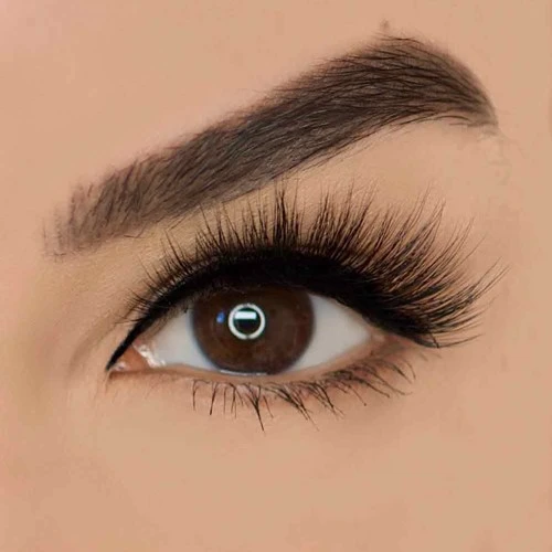 Queen Magnetic Wimper Vani Cosmetics 3 Queen Magnetic Wimper Vani Cosmetics