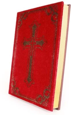 Het Grote Sinterklaas Boek -Speciale Effecten Make-Upwinkel sinterklaasboek