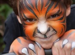 Superstar Dream Colours Safari 11 Superstar Dream Colours Safari -Speciale Effecten Make-Upwinkel tijger