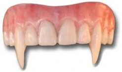 Vladymyr Upper Neptanden