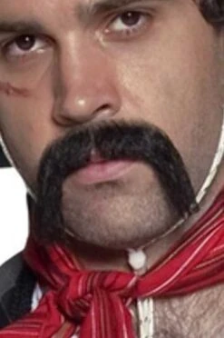 Western Mexican Snor Bruin